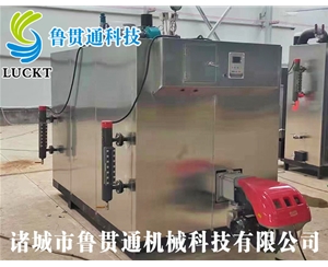 燃?xì)猓ㄓ停┱羝l(fā)生器 現(xiàn)貨供應(yīng)，工廠直銷，規(guī)格型號(hào)眾多，可來(lái)電咨詢